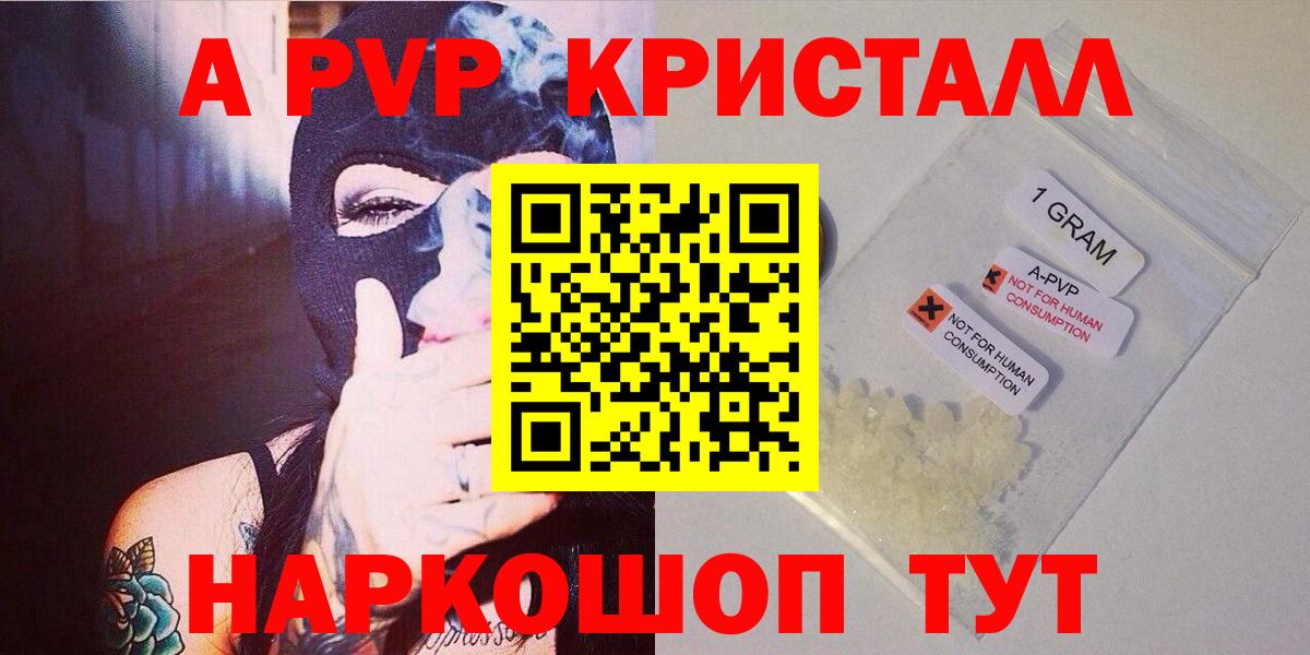 APVP СК КРИС Аша