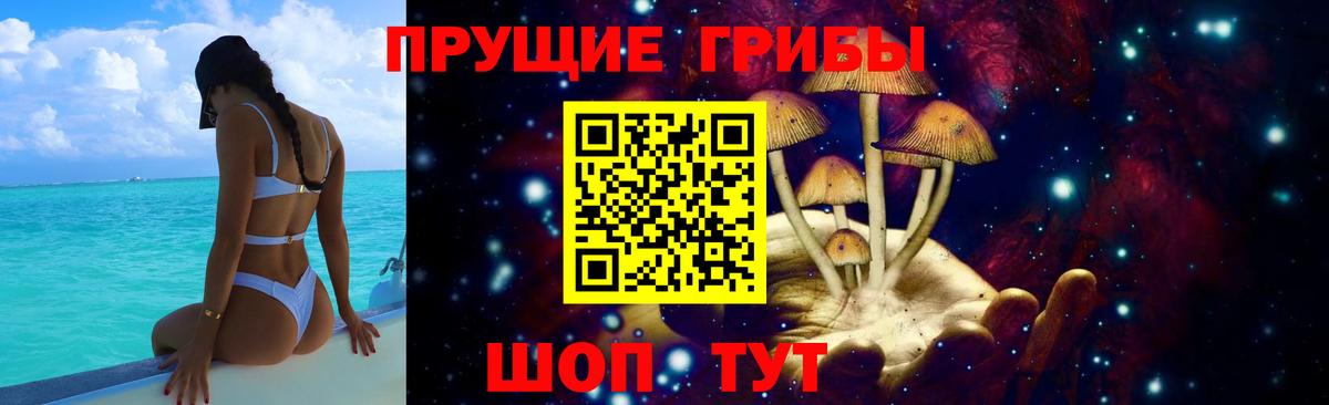 Псилоцибиновые грибы Psilocybine cubensis Аша